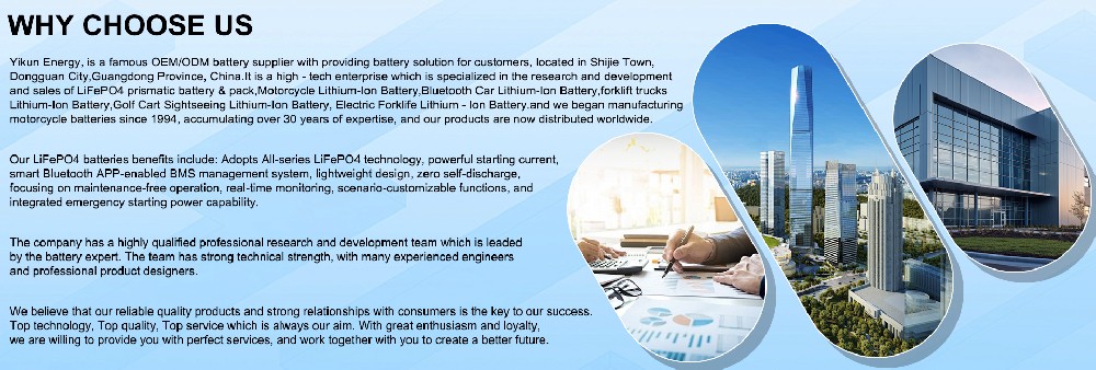 Professional LiFePO4 Starter Battery OEM/ODM Custom Service